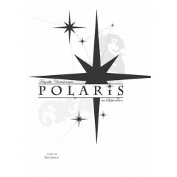 Polaris - Tragédie chevaleresque au Septentrion un jeu 500 nuances de geek