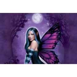 Puzzle 1000 pièces - Ryman - Night Fairy un jeu Ricordi