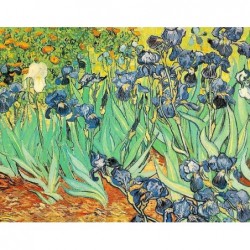 Puzzle 1000 pièces - Van Gogh - iris un jeu Ricordi