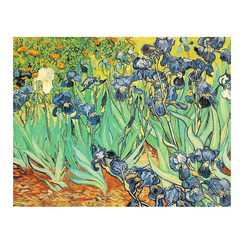 Puzzle 1000 pièces - Van Gogh - iris un jeu Ricordi