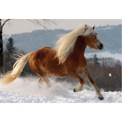 Puzzle 239 Horses un jeu D-Toys