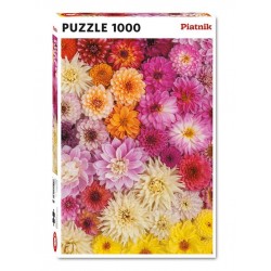 Puzzle 1000 pièces - Dahlias