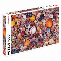 Puzzle 1000 pièces - Coquillages
