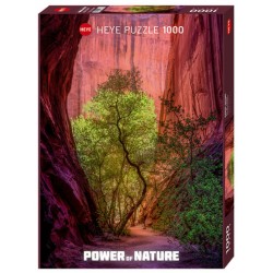 Puzzle 1000 pièces - Power of Nature - Singing Canyon