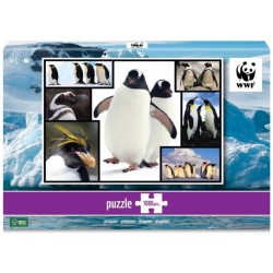 Puzzle 1000 pièces - WWF - Pingouins