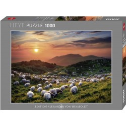 Puzzle 1000 pièces - Editions von Humboldt - Sheep and Volcanoes