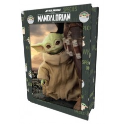 Puzzle 300 pièces - Mandalorian