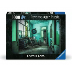 Puzzle 1000 pièces - L'hôpital psychiatrique