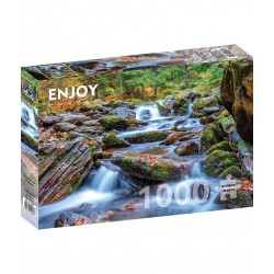 Puzzle 1000 pièces - Forest Stream in Autumn