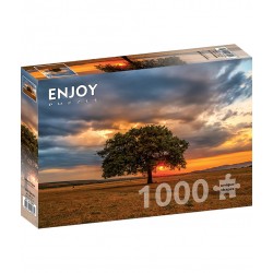 Puzzle 1000 pièces - Leaves Eclipse