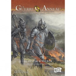 La guerre de l'anneau scénario alternatif le destin d'Erebor