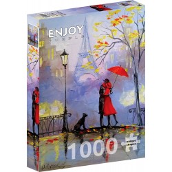 Puzzle 1000 pièces - Rainy Day in Paris